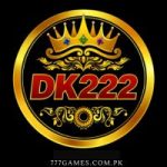DK222 Game