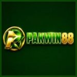 Pak Win88 Game