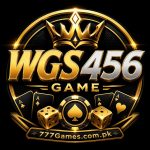 WGS456 Game logo